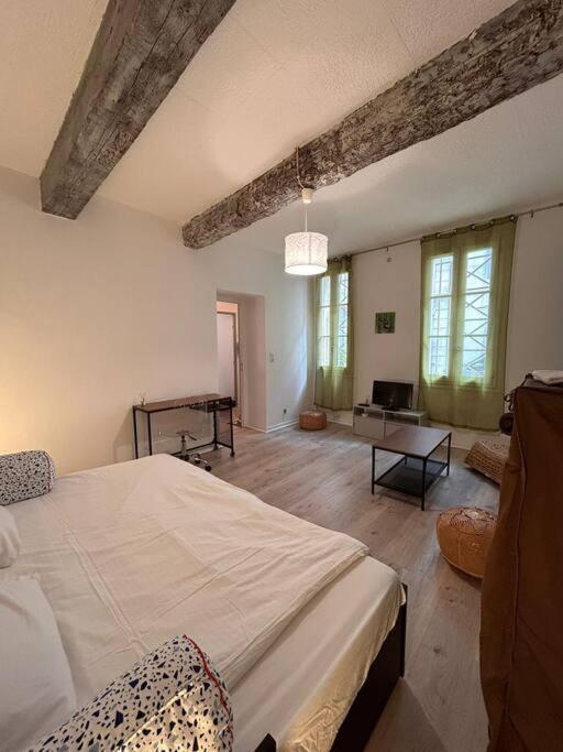 Apartmán L'Incontournable Avignon Exteriér fotografie